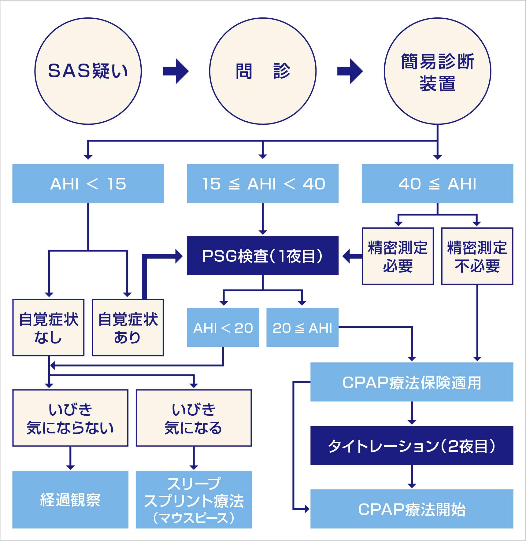 SAS検査の流れ（一例）